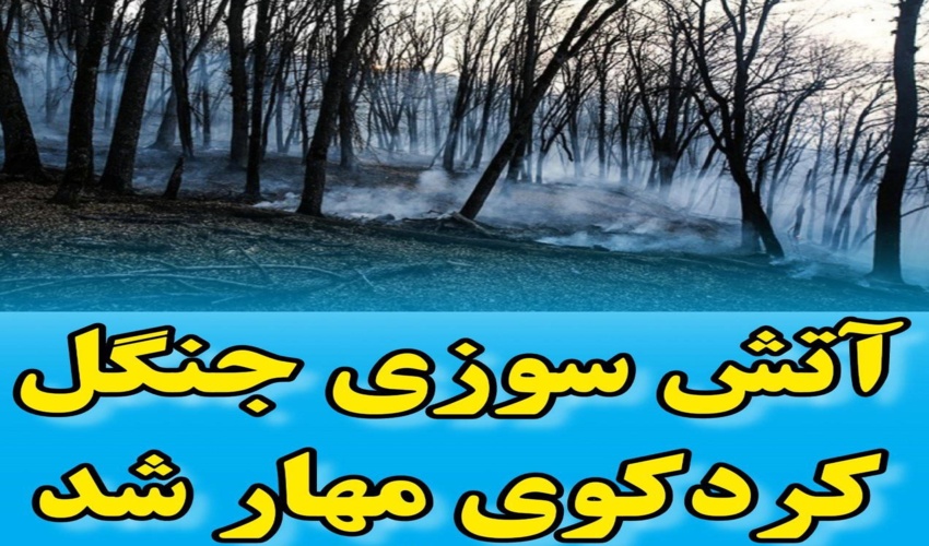 سرپرست اداره منابع طبیعی و آبخیزداری شهرستان کردکوی از مهار آتش سوزی جنگل کردکوی خبر داد.