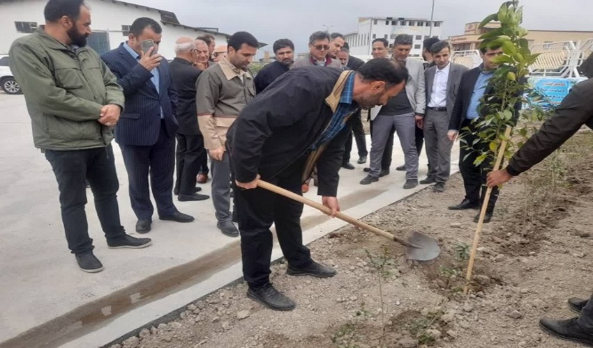 کاشت نهال در شهرک صنعتی شهرستان کردکوی
