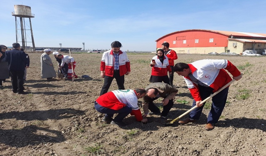 جمعیت هلال احمر جمهوری اسلامی ایران در کمتر از 20 دقیقه 100 هزار نهال کاشت