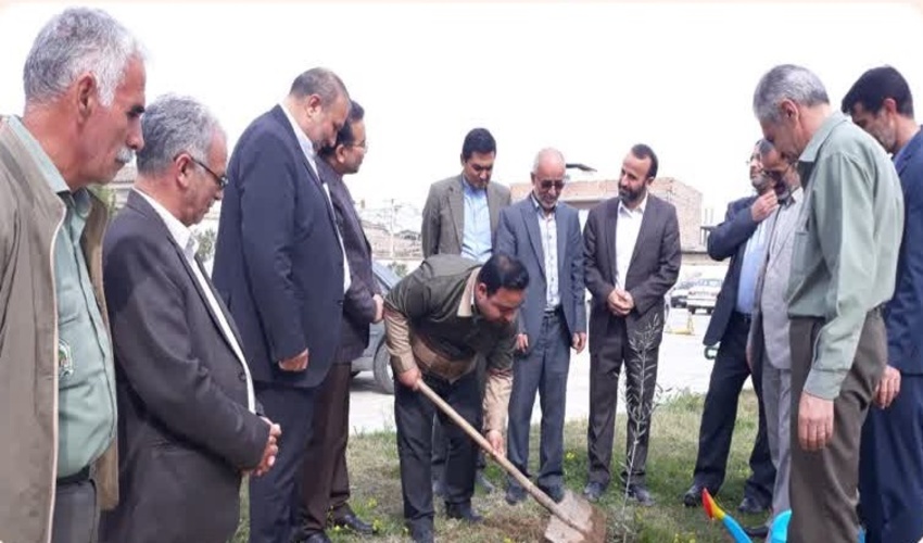 محوطه آموزش و پرورش شهرستان آق قلا نهالکاری شد 