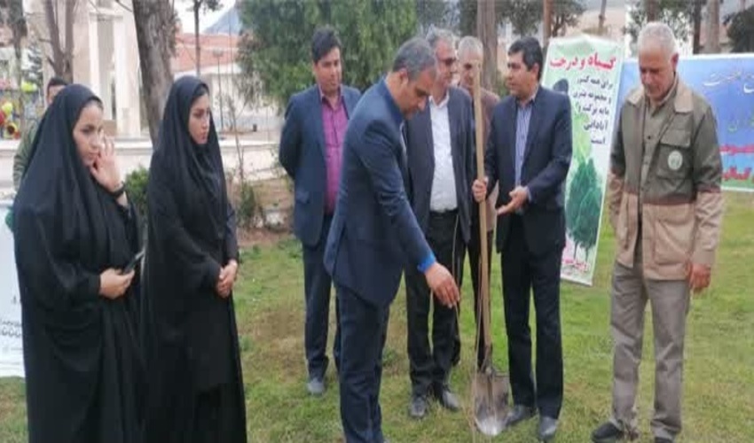 مزار شهدای گمنام گالیکش نهالکاری شد