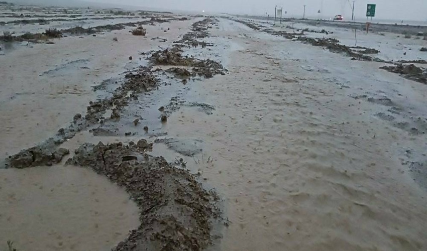 بارندگی های اخیر جان دوباره به طبیعت شمال گنبد بخشیده است