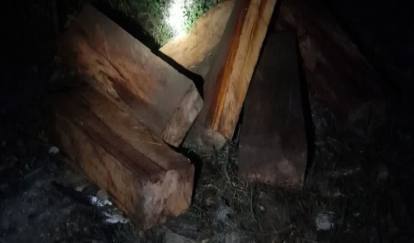 کشف و دستگیری قاچاقچیان چوب آلات جنگلی در کردکوی 