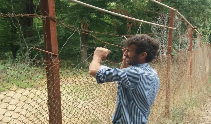 مرال های پارک جنگلی قرق نیازمند توجه و تخصیص اعتبارات بیشتر است 