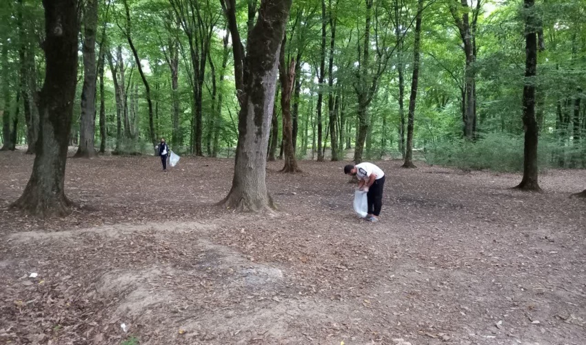 جنگل میاندره کردکوی پاکسازی شد 