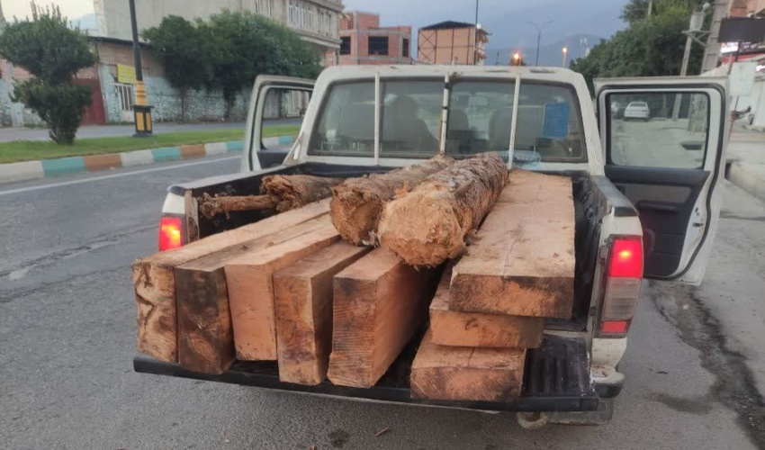 کشف و ضبط چوب آلات با قاطر در جنگل سرکلاته 