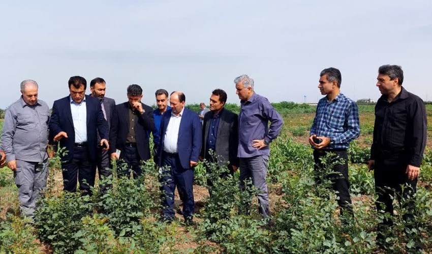 گزارش تصویری؛ بازدید معاون امور جنگل سازمان از نهالستان قرق در گلستان 