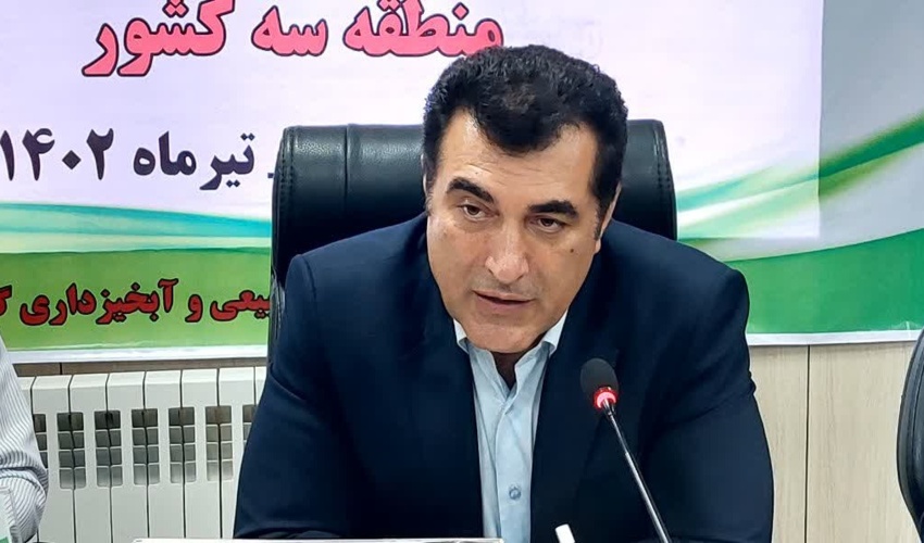 تولید ۲۵۰ میلیون اصله نهال/ استان‌‎های شمالی پیشگام در تولید نهال