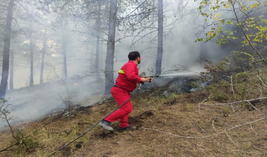 اطفای حریق جنگل سوزنی برگ منطقه خاندوز سادات آزادشهر 