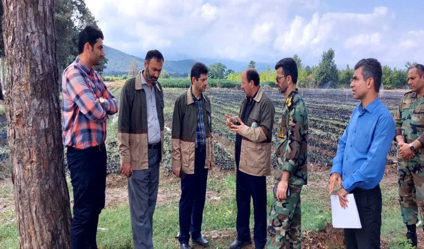 بازدید معاون عمرانی استانداری گلستان از نهالستان قرق 