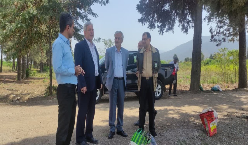 بازدید رییس موسسه تحقیقات جنگلها و مراتع از روند تولید نهال نهالستان قرق