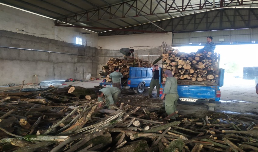 کشف و ضبط کوره تولید زغال با چوب جنگل در شهرستان کردکوی 