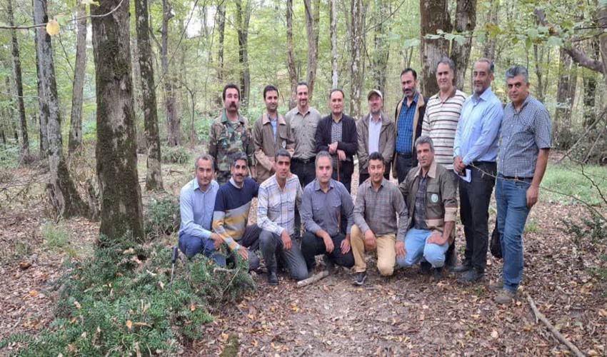 بازدید مدیر کل دفتر جنگلداری و امور بهره برداری سازمان از گروه‌های آماربرداری سراسری جنگل های گلستان