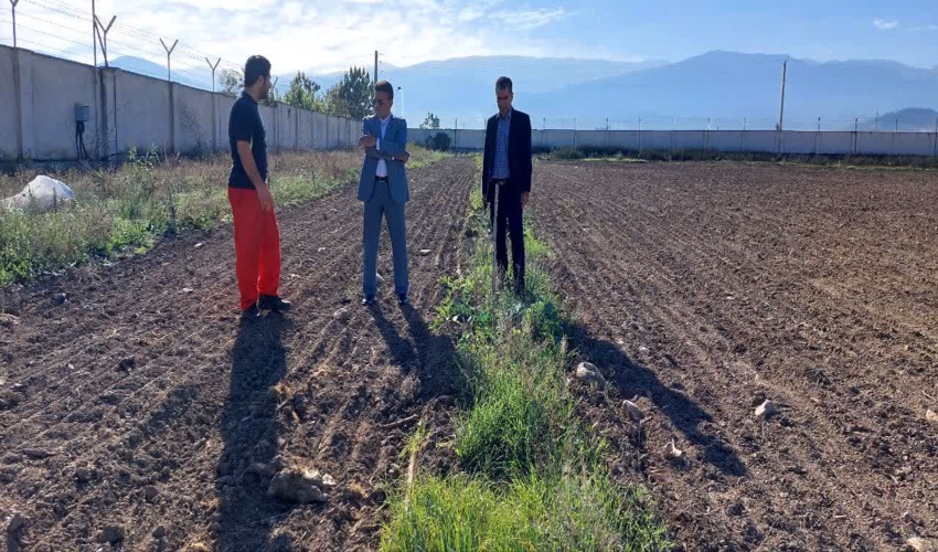 بازدید رئیس اداره جنگلکاری و پارکهای جنگلی از روند رشد نهال های کاشته شده زیتون در پایگاه هلال احمر