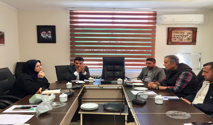 3300 نهال زیتون برای پویش "صبح زیتون" در گلستان توزیع می شود