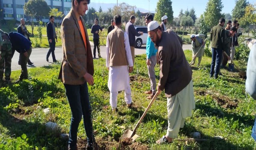 ملیت های مختلف در پویش صبح زیتون نهال صلح و مقاومت کاشتند