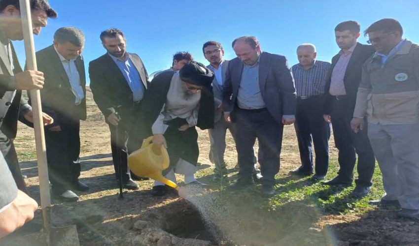 نماینده ولی فقیه در گلستان نهال زیتون به یاد شهدای مظلوم غزه کاشت