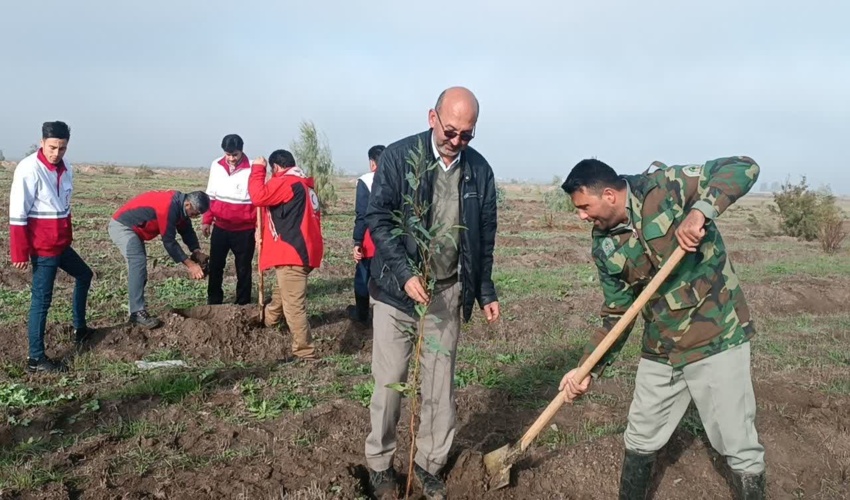 آغاز رسمی و سراسری درختکاری طرح مردمی کاشت یک میلیارد درخت در شهرستان آق قلا