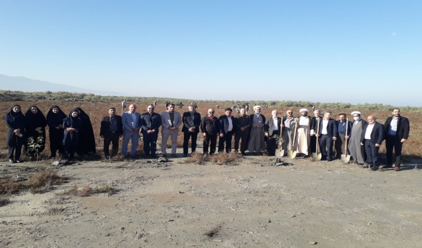 آغاز رسمی طرح مردمی کاشت یک میلیارد درخت در شهرستان بندرگز