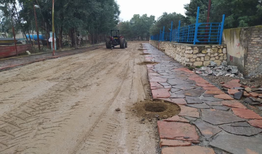 1500 اصله نهال به جزیره آشوراده انتقال داده شده است