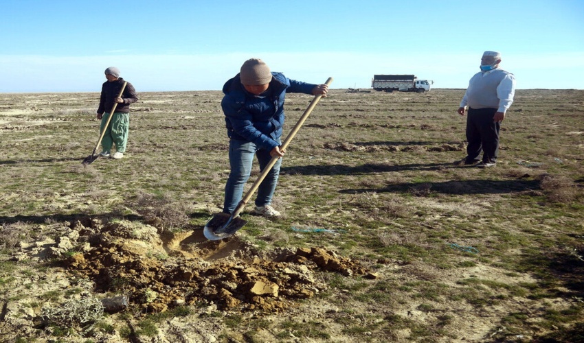 هشت طرح احیای مراتع و بیابانزدایی در گلستان آماده بهره‌برداری است