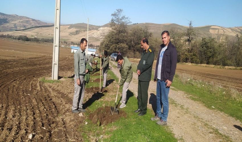 کاشت 5 هزار اصله نهال به یاد زنان و کودکان شهید غزه در شهرستان کلاله