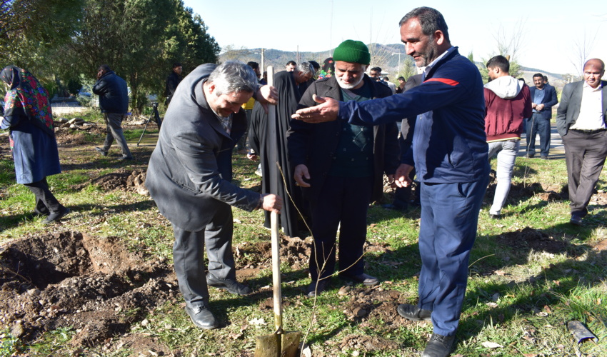 کاشت نهال با همکاری بسیج سازندگی سپاه نینوا گلستان 