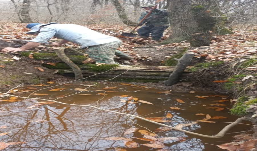 آغاز پروژه تثبیت گالی های فعال و کنترل فرسایش خاک در النگدره گرگان