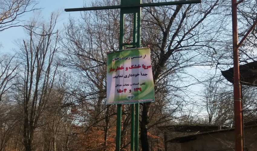 جوابیه اداره کل منابع طبیعی و آبخیزداری گلستان در خصوص قطع درختان سرپاخشک یا خشک دارها