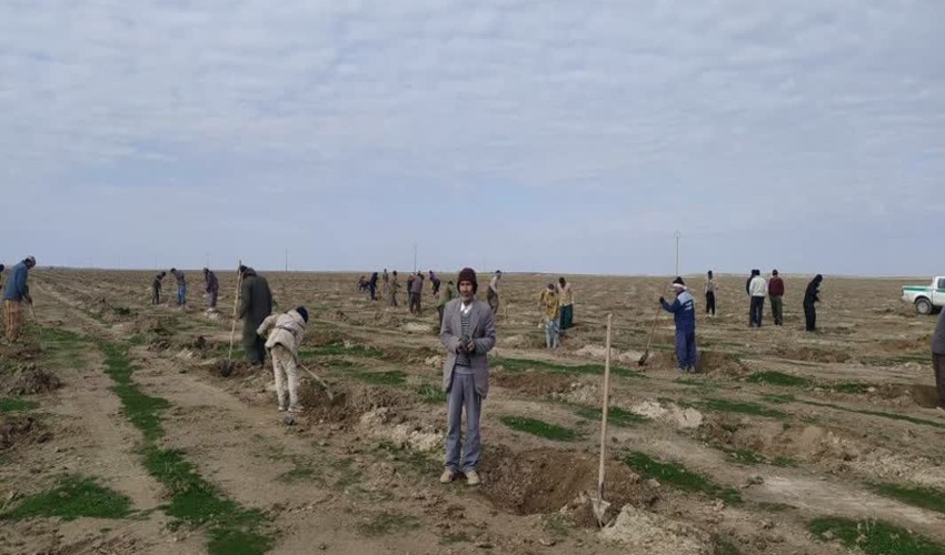 افتتاح ۲۰ پروژه منابع طبیعی  با عتباری بیش از 30 میلیارد تومان در دهه فجر