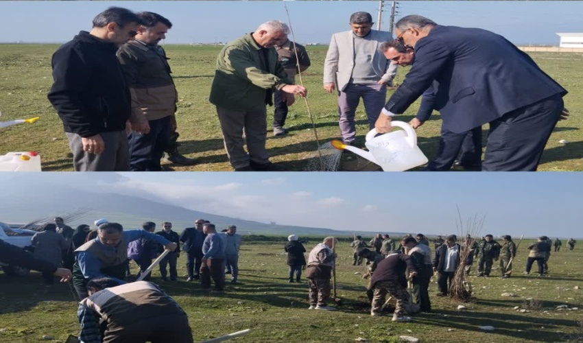 پویش بزرگ نهالکاری " عشق حیدری ، مهر پدری" برگزار شد.