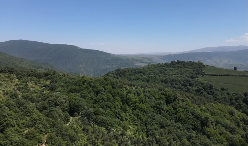 ارزیابی کمی و کیفی جنگل های گلستان انجام شد