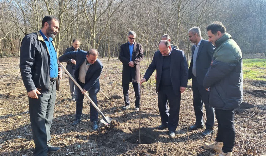 کاشت نهال در حاشیه برگزاری جلسه مدیریت پایدار جنگل های هیرکانی