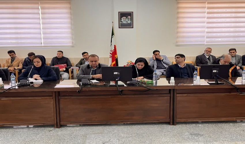 افتتاح متمرکز پروژه های منابع طبیعی و  برپایی میز خدمت به مناسبت دهه مبادک فجر در روستای نامن کردکوی 