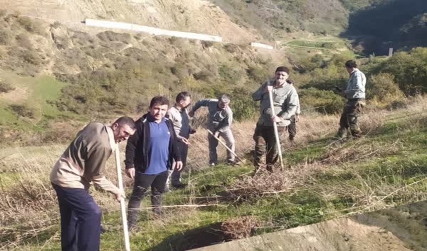 خیرین منابع طبیعی مینودشت 3 هزار اصله نهال مثمر جهت مشارکت مردمی اهدا کرده اند