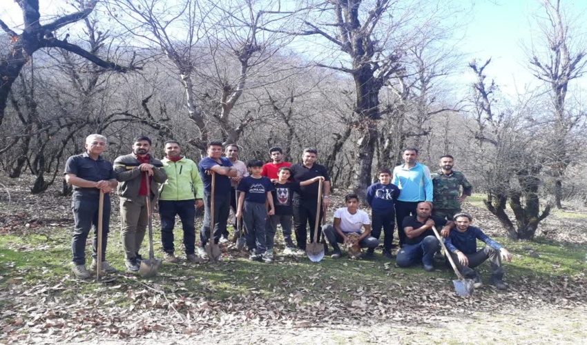 سازمان های مردم نهاد علی آبادی در روز 22 بهمن نهال کاشتند