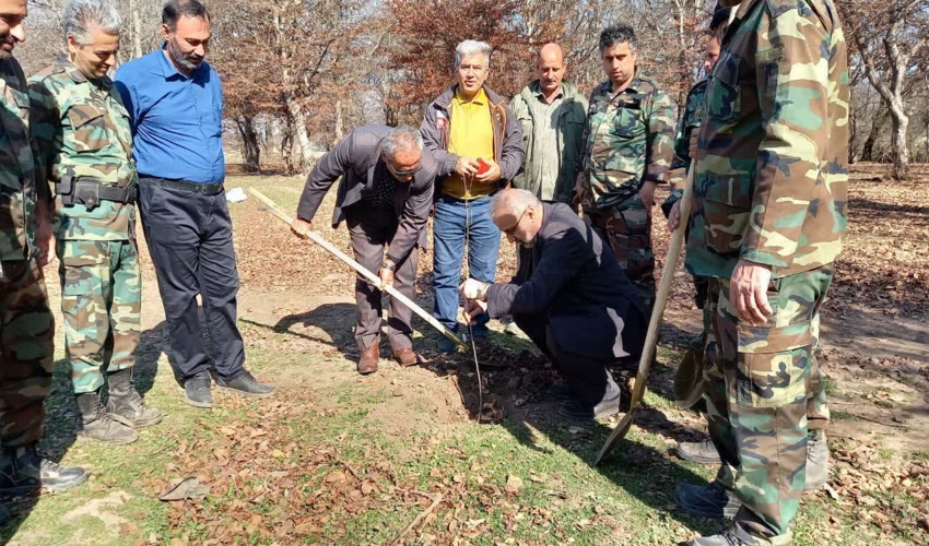 غرس نهال در راستای طرح مردمی کاشت یک میلیارد درخت با حضور معاون دفتر جنگلکاری سازمان