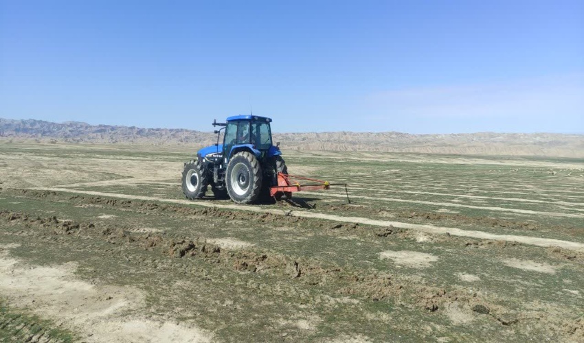 آغاز عملیات ریپرزنی پروژه بوته کاری ۱۰۰ هکتاری تپه جیک مراوه تپه 