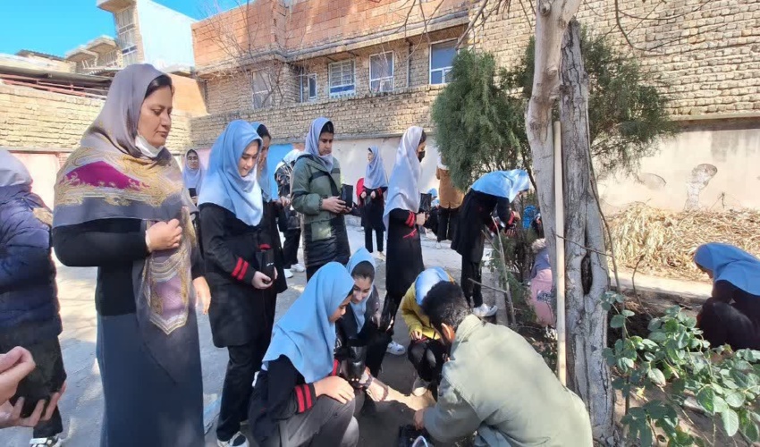 هر مدرسه یک نهالستان با مشارکت دانش آموزان در کلاله برگزار شد