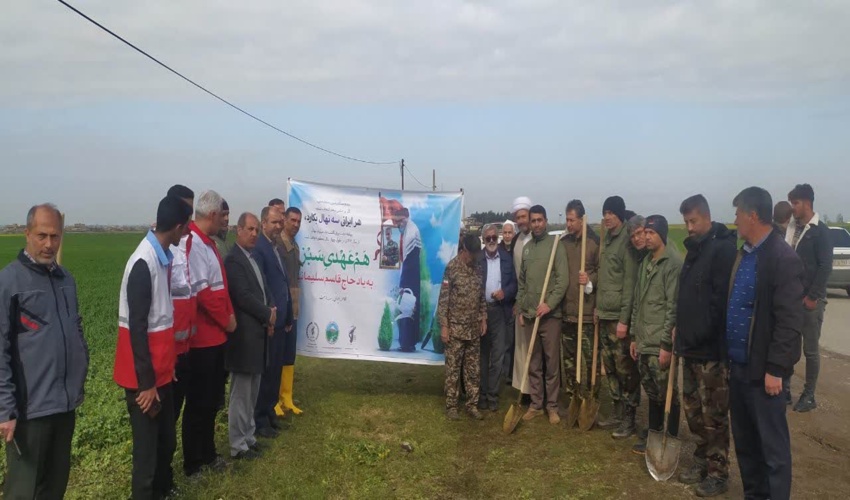 بیش از ۲۰۰ هزار اصله نهال در شهرستان مینودشت کشت می شود