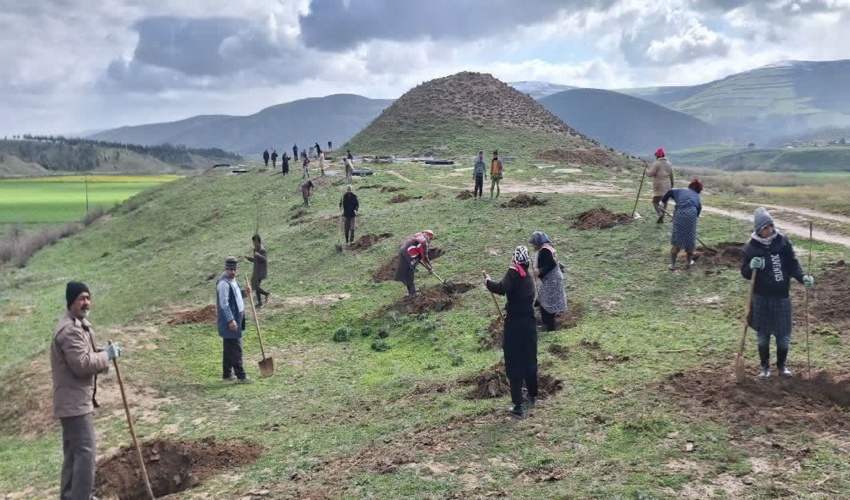  اجرای پویش رکورد نهالکاری با همکاری بسیج سازندگی و اداره منابع طبیعی و آبخیزداری کلاله