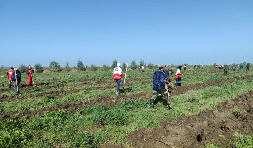 اجرای پویش سراسری درختکاری در محل بوستان 4هزار شهید آق قلا برگزار شد