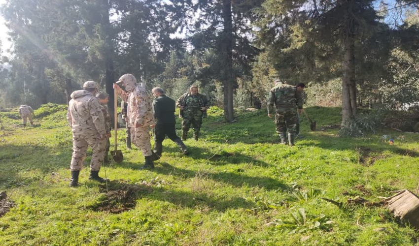 پویش نهال کاری با مشارکت بسیج سازندگی در حوزه جنگلی کردکوی برگزار شد