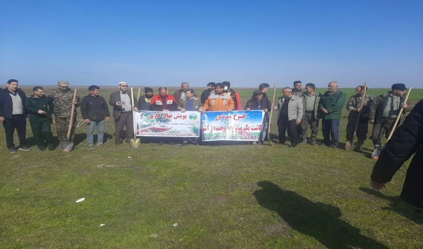 در راستای طرح مردمی کاشت یک میلیارد درخت در کشور پویش نهال کاری در ترکمن و گمیشان انجام شد