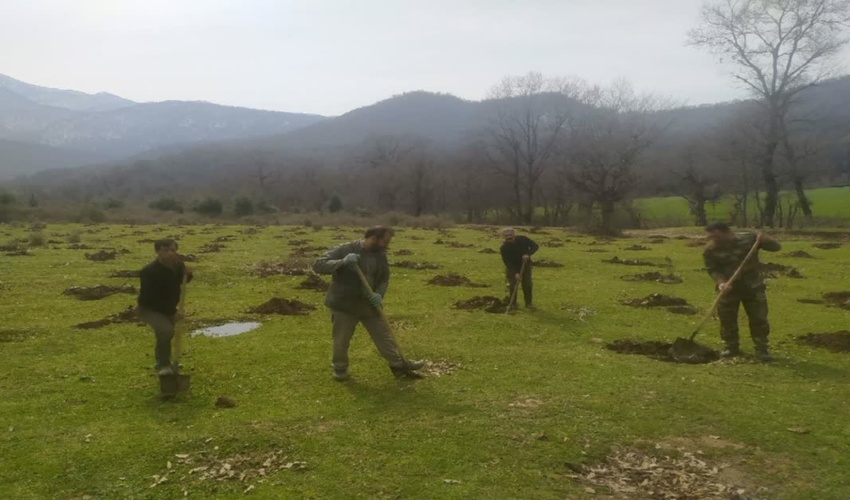 ادامه روند اماده سازی چاله های نهال توسط نیروهای حفاظتی شهرستان آزادشهر