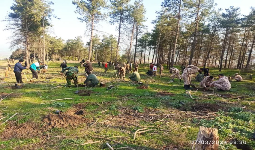 4هزار اصله نهال جنگلی در پارک زیتون آزادشهر غرس شد