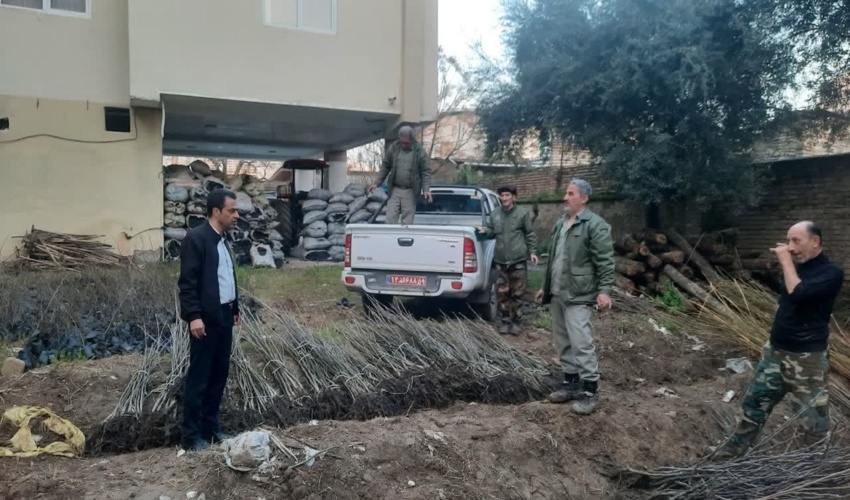 1300 اصله نهال مثمر در روز ایثار و شهادت ببه مناسبت هفته منابع طبیعی در آزادشهر توزیع شد