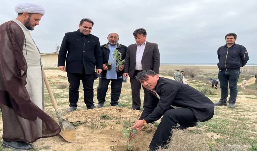 احیای زیستگاه سبز اراضی منابع طبيعی حاشیه تالاب‌ها جهت توانمندی بهره برداران محلی