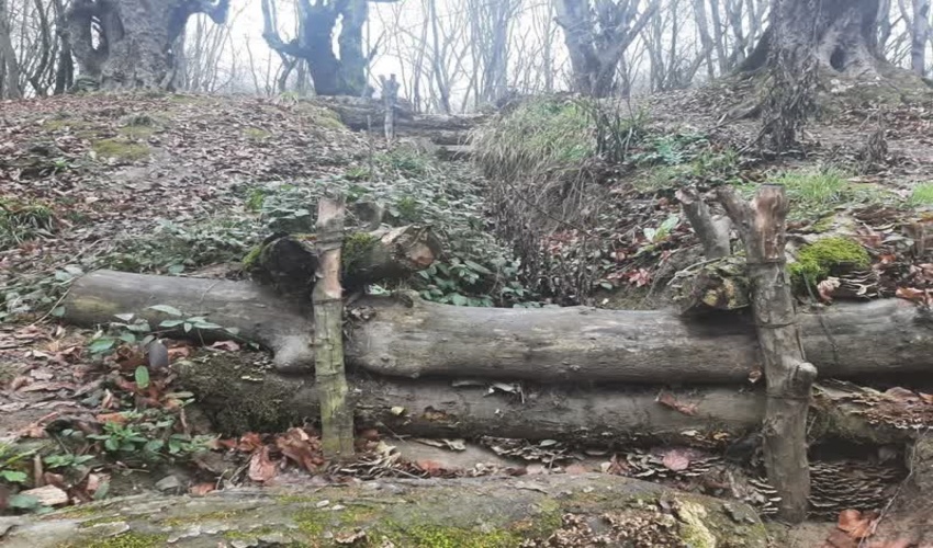 بندهای چوبی جنگل النگدره، الگوی موفق آبخیزداری برای حفظ خاک