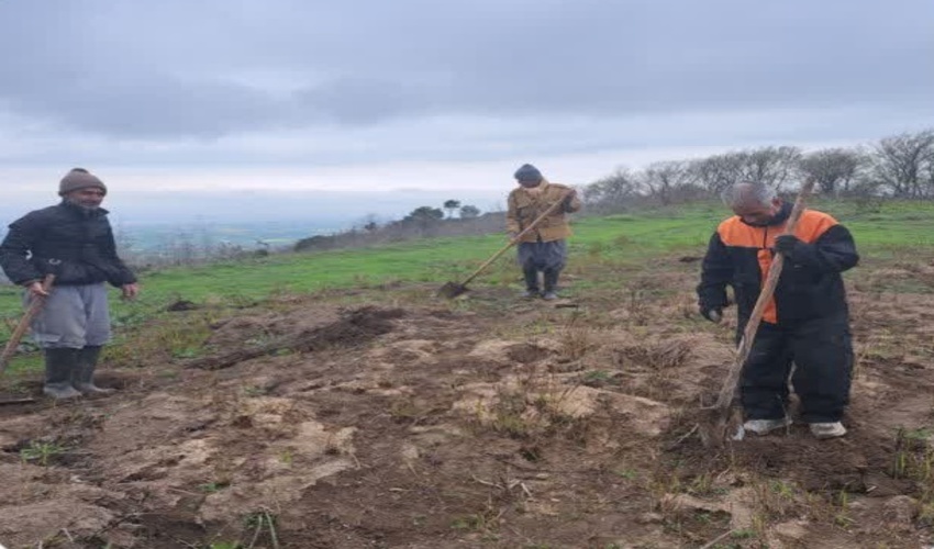 ده  هزار نهال با مشارکت معدن تخت در شهرستان مینودشت کاشته شد.